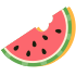 watermelon icon