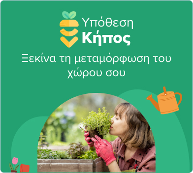 Υπόθεση Κήπος